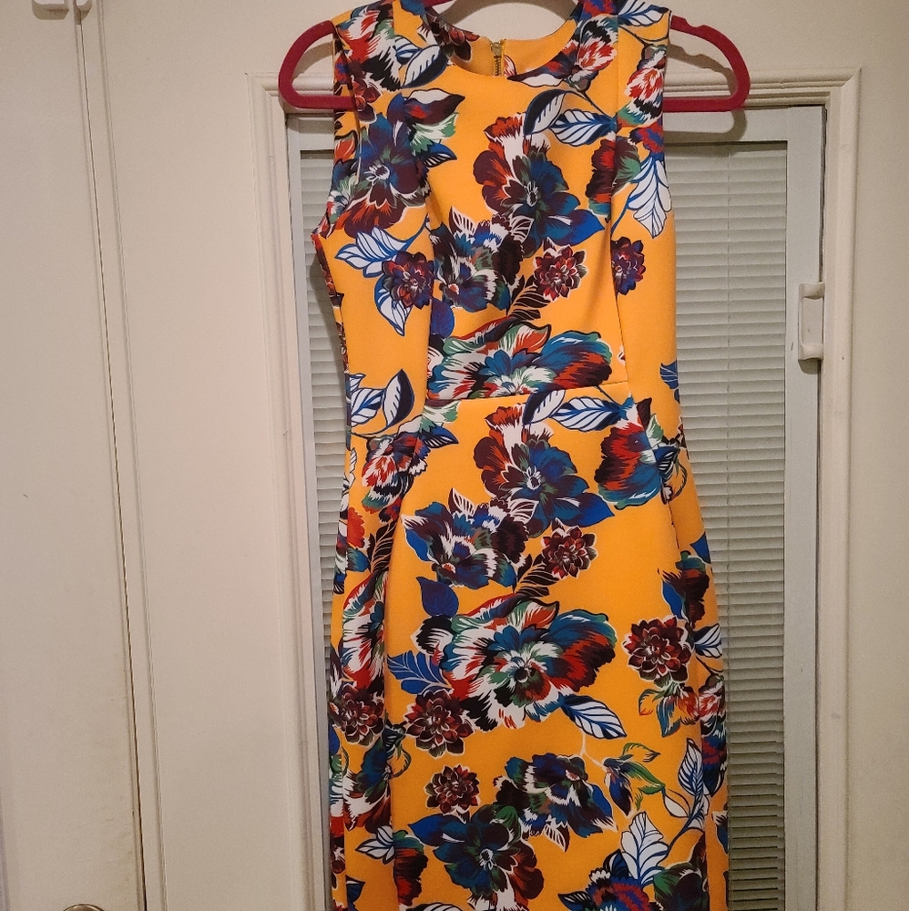 Calvin Kline. Bright and Beautiful Size  4